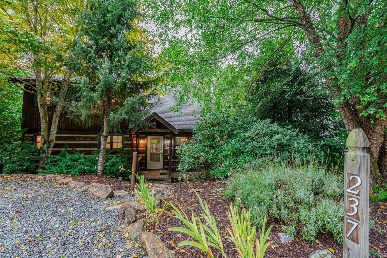 Bear Pause 3 Br/3ba Amazing View Of The Holiday home