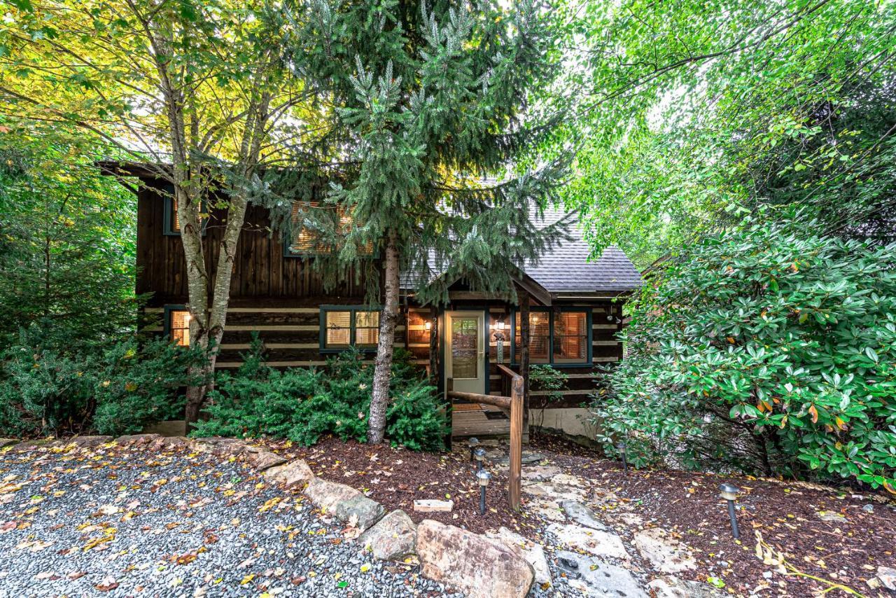 Bear Pause 3 Br/3ba Amazing View Of The Holiday home